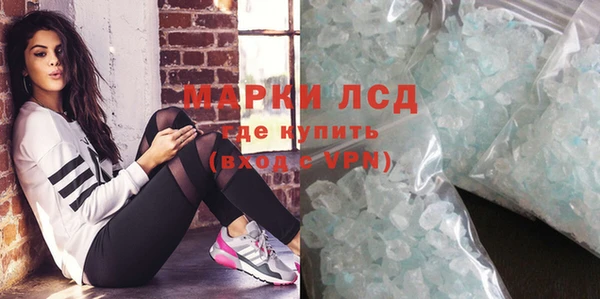 мяу мяу мука Няндома