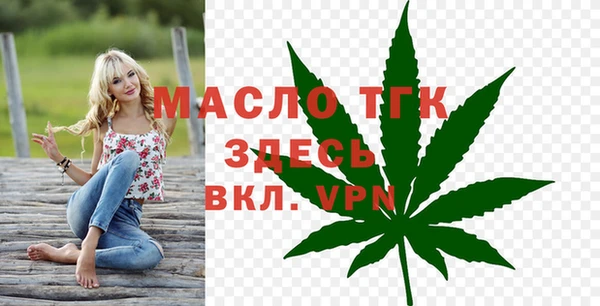 мяу мяу мука Няндома