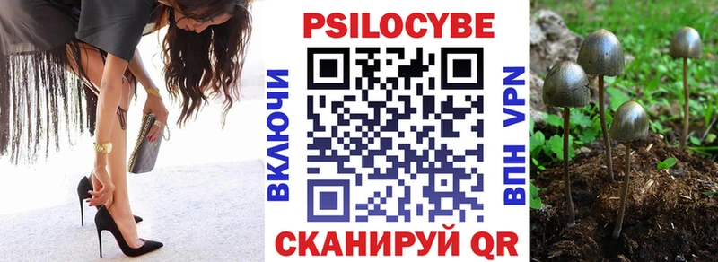 даркнет телеграм  Никольск  Псилоцибиновые грибы мухоморы  где купить наркоту 