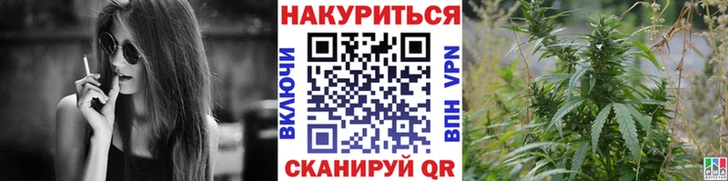 Каннабис семена  где найти наркотики  площадка как зайти  Никольск 